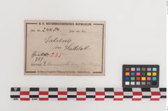 Etiketten zu Bronzegürtelblech (NHMW-PRAE-024454)